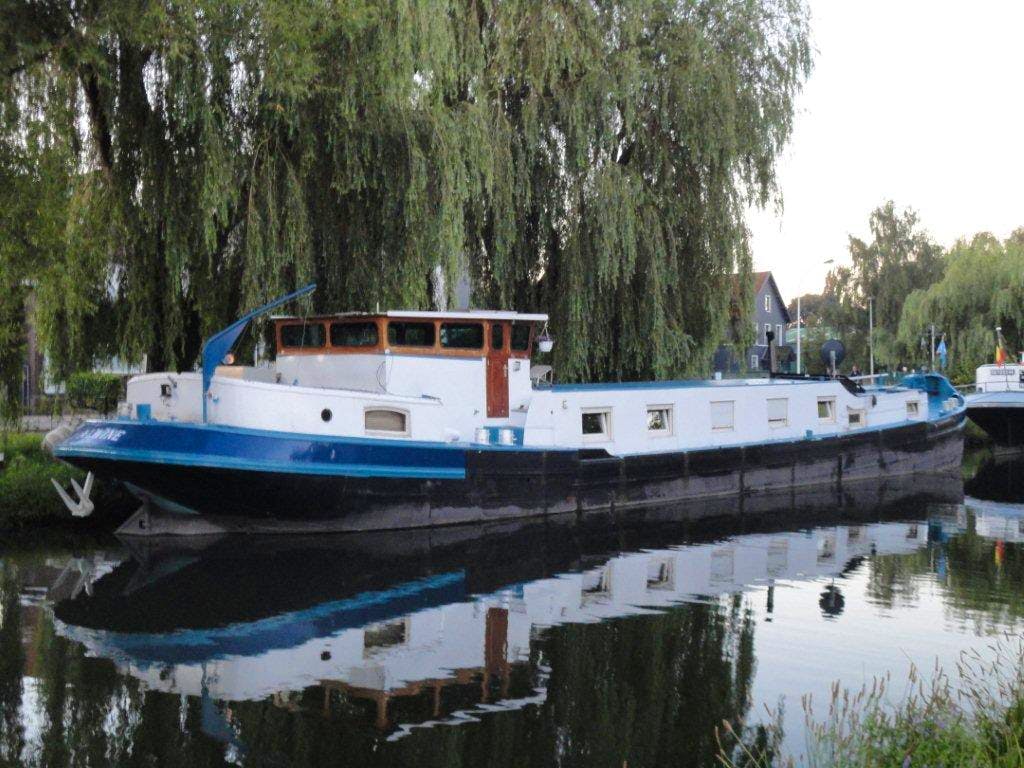 Alwine — thumbnail 2